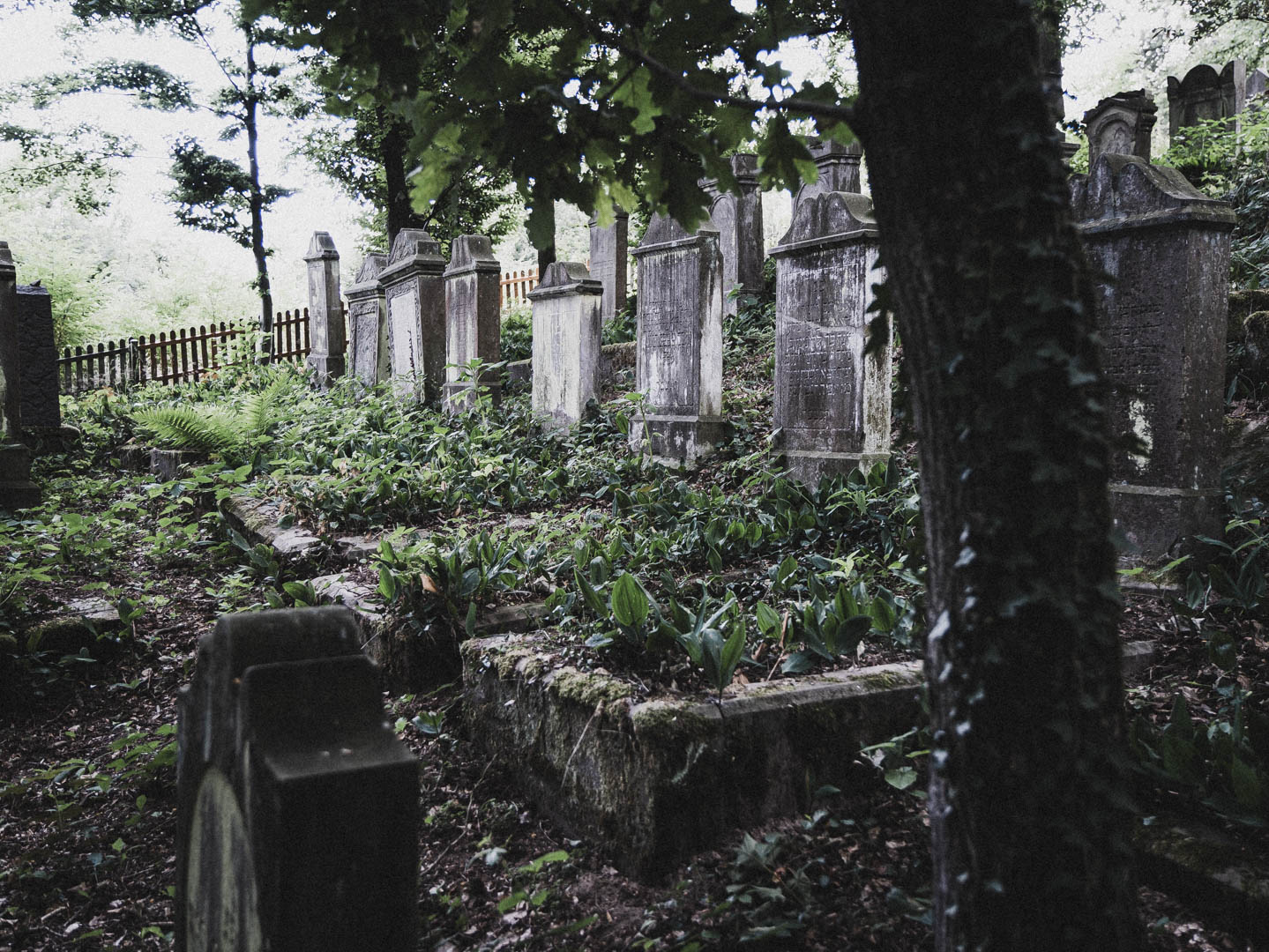 Bodenfeldem Jüdischer Friedhof